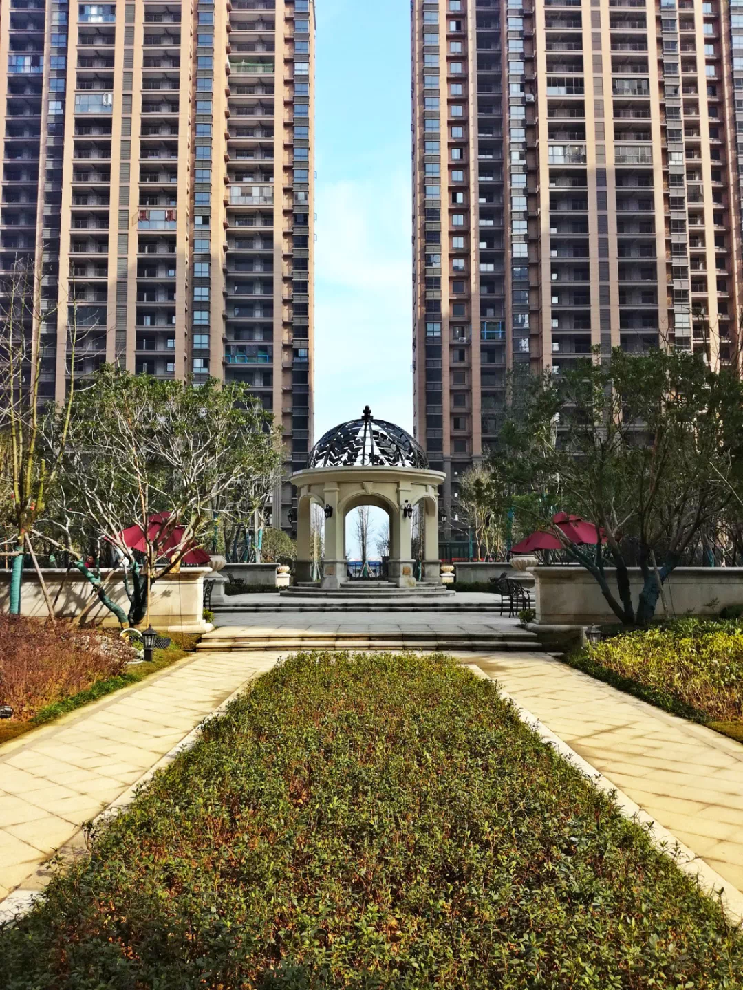 罗马市长宣布启动新的城市绿化计划,将在市内种植百万颗树木的简单介绍 罗马市长宣布启动新的城市绿化计划,将在市内种植百万颗树木的简单介绍