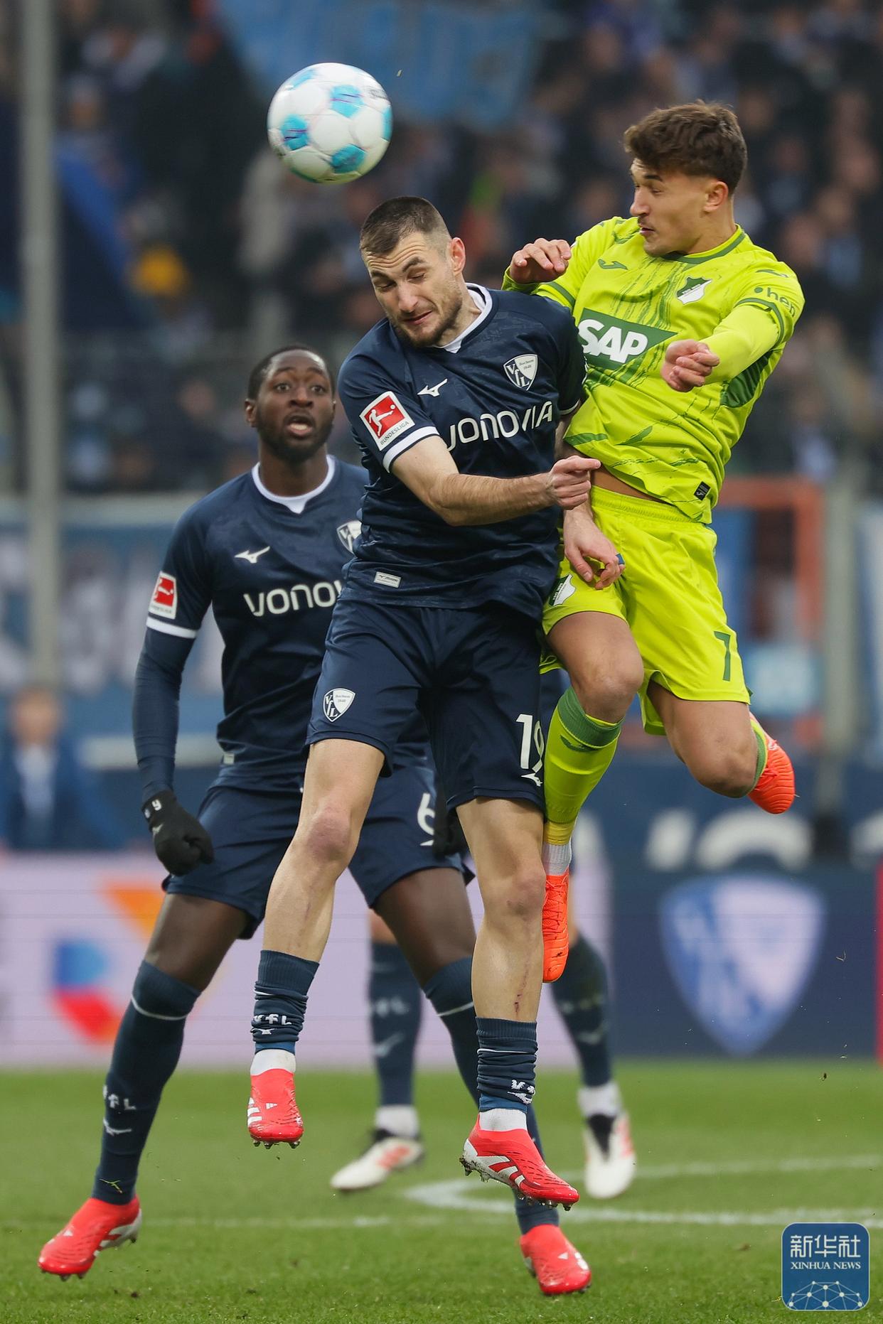 包含霍芬海姆击败对手,展现出稳固的防守体系的词条 包含霍芬海姆击败对手,展现出稳固的防守体系的词条